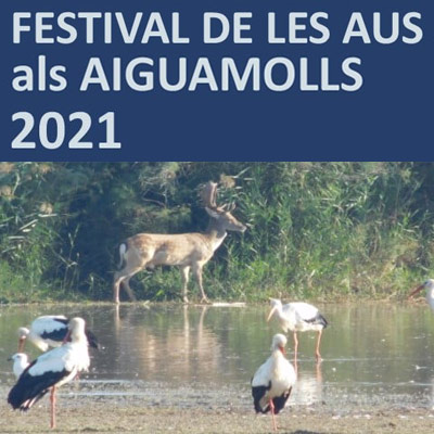 Festival de les Aus als Aiguamolls - Empordà 2021