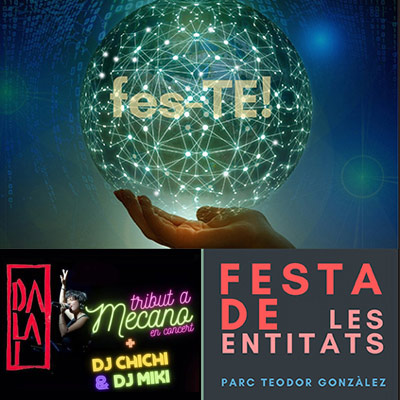 Festa de les Entitats Socials de Tortosa 2024