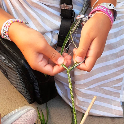 Taller 'Fibres vegetals' - Museu de la Pauma 2026