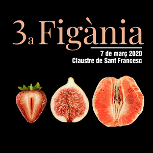 3a edició Figània a Montblanc, 2020