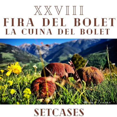 XXVIII Fira del Bolet – La Cuina del Bolet - Setcases 2021