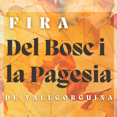 Fira del Bosc i la Pagesia de Vallgorguina 2024