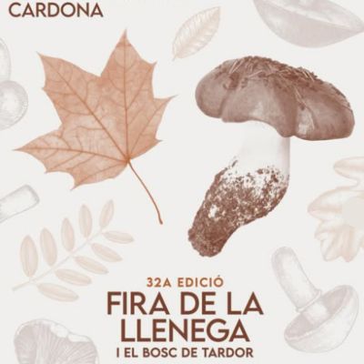 32a Fira de la Llenega i el bosc de tardor, Fira de la Llenega i el bosc de tardor, 2025, Llenega, Cardona, 