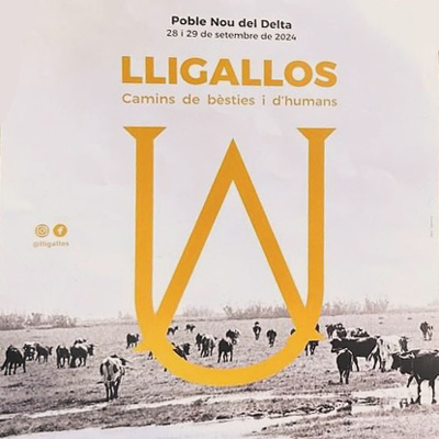 Fira Lligallos - Poble Nou 2024