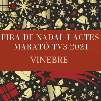 Fira de Nadal i actes Marató de TV3 - Vinebre 2021