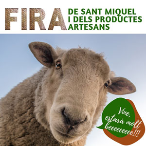 Fira de Sant Miquel i dels productes artesans - Alfara de Carles 2019