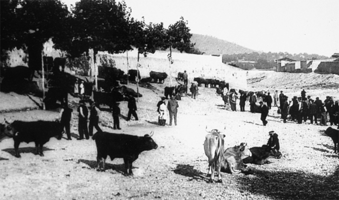 Fira de bestiar a la Riera de la Bisbal, segle XIX