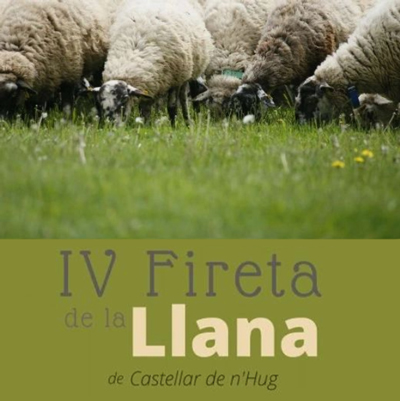 IV Fireta de la Llana, Castellar de n'Hug, 2022