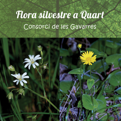 Flora silvestre a Quart, Consorci de les Gavarres, 2022