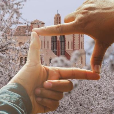 Activitat 'Entre Flors', Una passejada de foto!, Mas de Colom, 