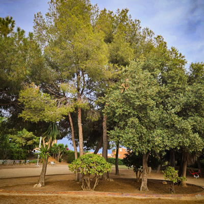 Parc Montserrat Garriga, Tarragona, 2023