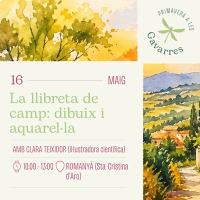 Atura't, observa i dibuixa: sortida amb llibreta de camp, Consorci de les Gavarres, 2026
