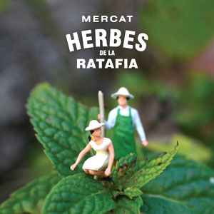 Mercat Herbes de la Ratafia a Santa Coloma de Farners, 2019