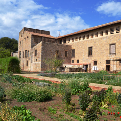 L'hort medieval del monestir, Monestir de Pedralbes