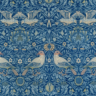 Curs 'La intel·ligència dels ocells' al Centre d'Art i Natura Farrera, 2020