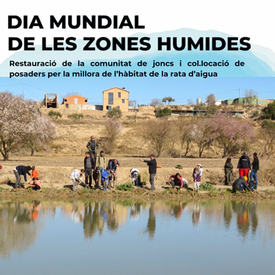 Dia Mundial de les Zones Humides a l'Estany d'Ivars i Vila-sana, 2025