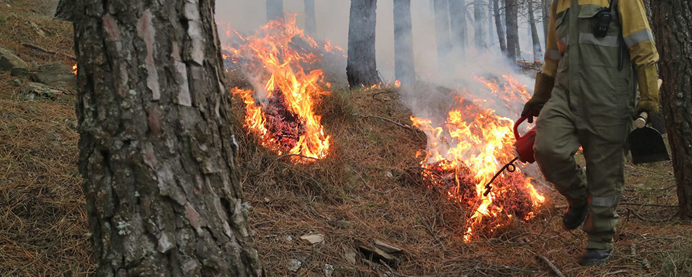 Imatge d'un incendi forestal