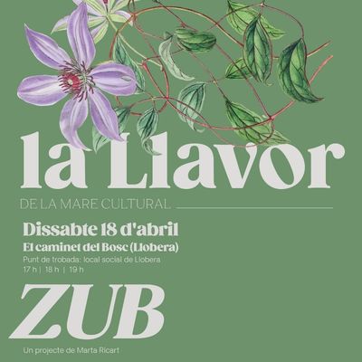 La Llavor 2026, La Llavor, La Mare Cultural, 2026