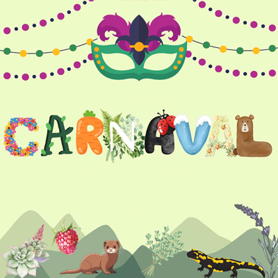 Carnaval de Llívia, 2026