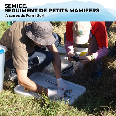 Seguiment de petits mamífers a l'Estany d'Ivars, 2025