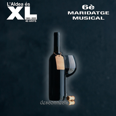 6è Maridatge musical - L'Aldea 2023