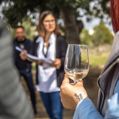 Sabors del Mas Miró, Mas Miró, Mont-roig del Camp, 2026