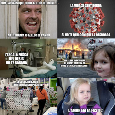 Taller de mems i poesia, A mem si llegim