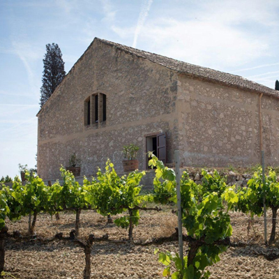 Celler Miquel Pons, Vilafranca del Penedès