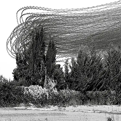 Llibre 'Els moixons', de Montse Virgili (La Magrana)