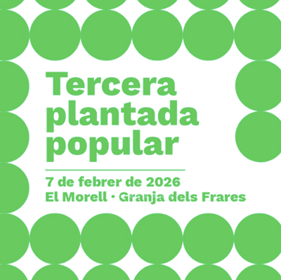 Tercera plantada popular del Morell, 2026
