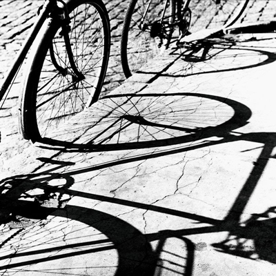 Exposició 'Palmira Puig. Perspectives revelades', El Morera, Lleida, 2025