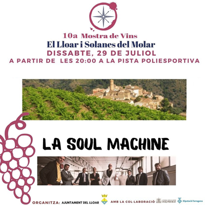 10a Mostra de Vins de la Vila del Lloar i les Solanes del Molar, 2023