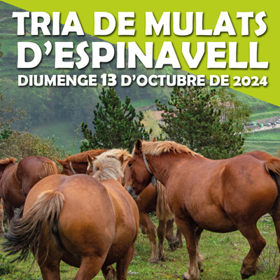 Tria de Mulats d'Espinavell, Molló, 2024