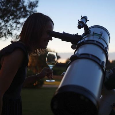 Nit d’Estrelles a la Masia Mas Rabell, Masia Mas Rabell, Família Torres