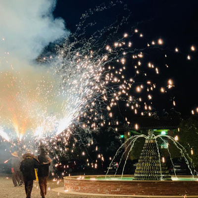 Nit de les Fil·loxeres - Agustí Torelló Mata