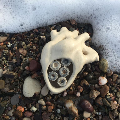 Exposició 'ORAM: El cor com a motor de vida' de Lucía Perera