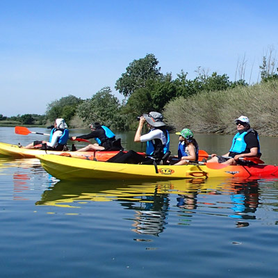 Ornitocaiac - Sant Pere Pescador
