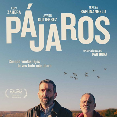 Pájaros