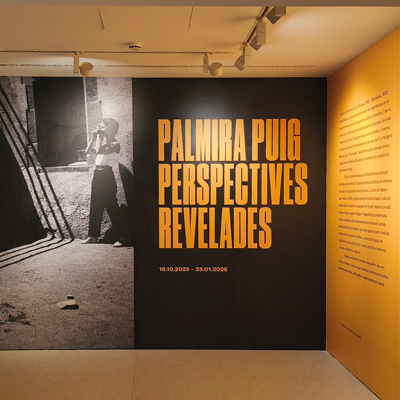Visites comentades a l'exposició 'Palmira Puig. Perspectives revelades'