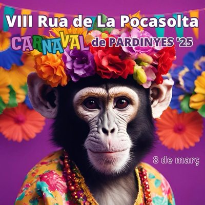 VIII Rua Pocasolta a Pardinyes, lleida, 2025