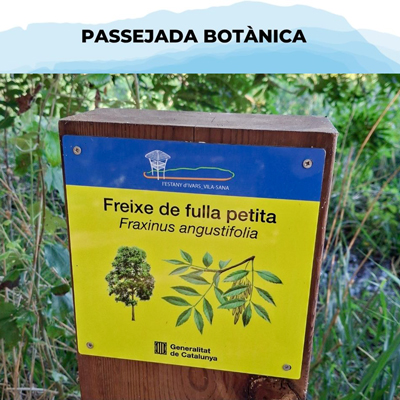 Passejada botànica per l'estany, Estany d'Ivars i Vila-sana, 2025