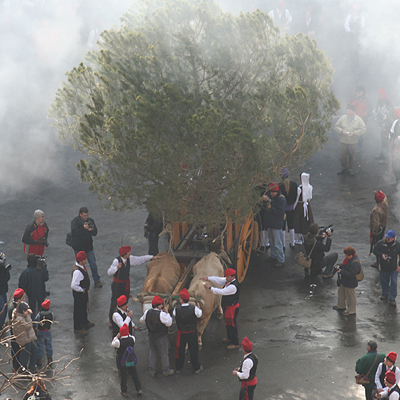 Festa del Pi de Centelles