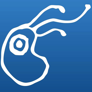 Plàncton Diving, Plàncton, Ametlla de Mar, 2020