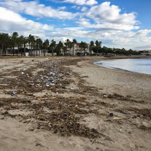 Neteja de platges a Cambrils, 2020