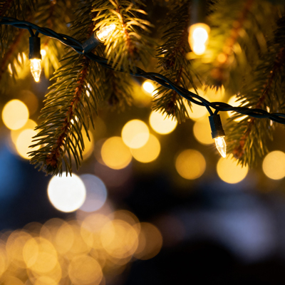 Llums de Nadal, Arbre de Nadal, Nadal, 2025