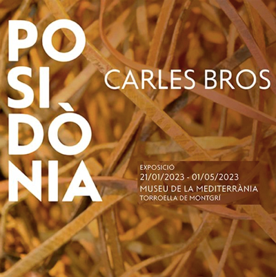 Exposició 'Posidònia', de Carles Bros