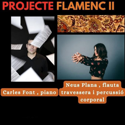 Concert 'Projecte Flamenc II', Sala Arts, 