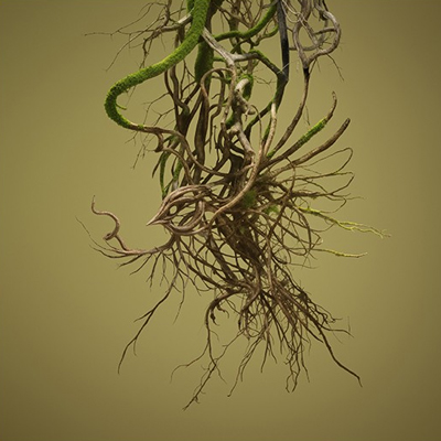 Quanta, quanta guerra, cicle de converses sobre la literatura i el conflicte, CCCB, 2026