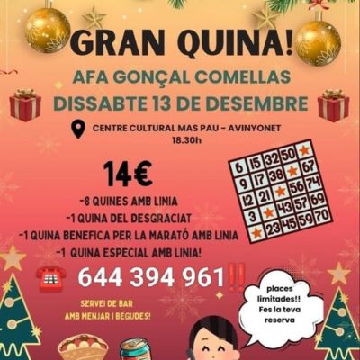 Quina AFA Escola Gonçal Comellas d’Avinyonet de Puigventós 2025, Avinyonet de Puigventós, Quina, Escola Gonçal Comellas, 