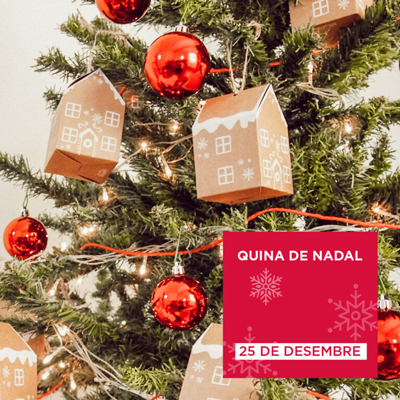 Quina de Nadal de Fornells de la Selva, 2024